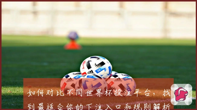如何对比不同世界杯投注平台，找到最适合你的下注入口和规则解析