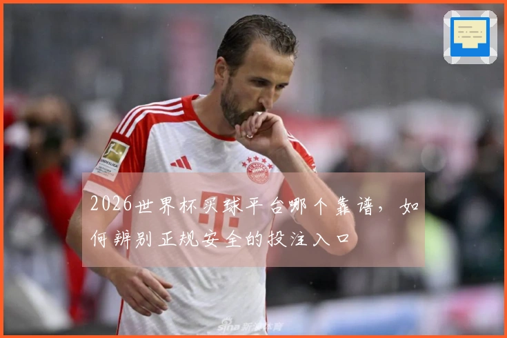 2026世界杯买球平台哪个靠谱，如何辨别正规安全的投注入口